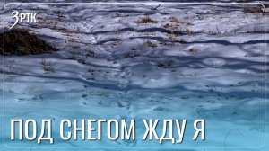 Забайкальские клещи в предвкушении оттепели