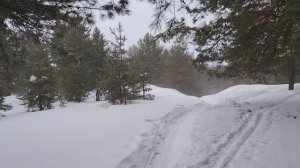 Подушка финансовой безопасности. Почему и каким образом необходимо ее формировать?