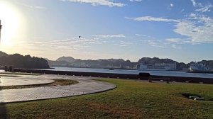 Птички поют!