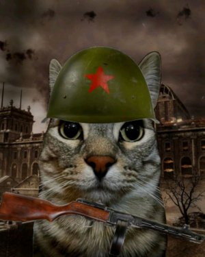 о ты тут ну привет😉