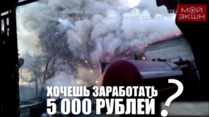 Драма-кот: амурчанка показала актерский талант пушистого питомца