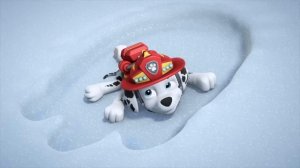 Щенячий патруль | Райдер зовёт Щенячий патруль к Башне Наблюдения! с Маршаллом | Nick Jr. Cyrillic