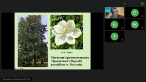 Некоторые причудливые древесные растения Сухумского ботанического сада перспективные для озеленения