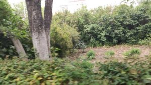 Один из дней города Евпатории | 4 июня 2021 год | Крым | ХАН БАТОН | XAH 6ATOH | VID_20210604_135911