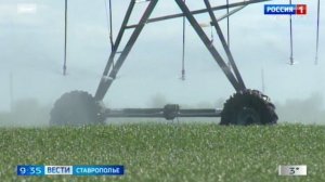На Ставрополье более миллиона гектаров посеют яровыми культурами