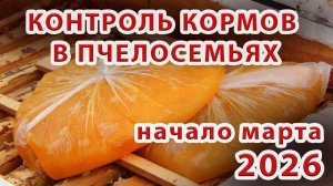 ПЕРВЫЙ ОСМОТРТ ПЧЕЛОСЕМЕЙ В МАРТЕ