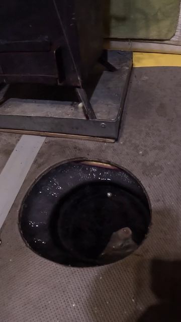 В погоне за мордатым лещом