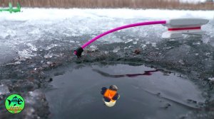 НЕ УСПЕВАЮ ОПУСТИТЬ НА ДНО🐟. РЫБА СТАЛА СТЕНОЙ. РЫБАЛКА НА ЛЕЩА.🐟🐟🐟