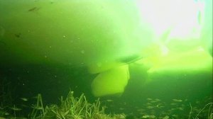 1000010983.mp4Волга гл.2м.05.03 2026г.