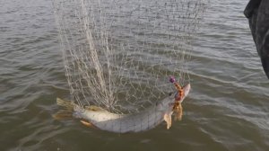 "НАРОДНЫЙ ПРОЕКТ АСТРАХАНЬ"  Как рыболовы-любители могут эволюционировать и "менять свою веру"