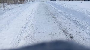 2 часть прогулка по лесу