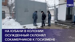 На Кубани в колонии осужденный склонял сокамерников к госизмене