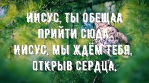 Иисус, как Ты дорог для меня - минус мой 2