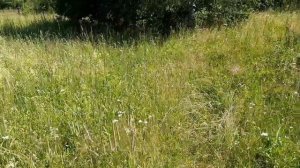 Велопутешествие к заброшенной деревни. Всё пошло не по плану...