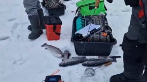 Обход по водоему !