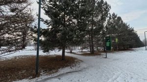 Татышев-парк, г. Красноярск 05.03.2026г.