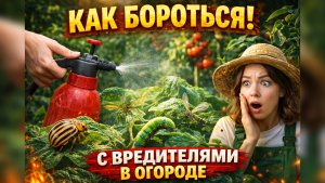 Как бороться с вредителями в огороде