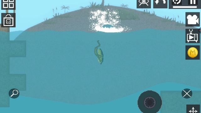 Сиды на бесконечный океан