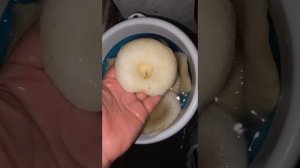 1080p Собираю грибы Грузди большые мочу в ванной