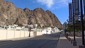 Да они тут все симпатичные!