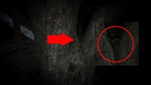 Страшное животное в лесу ночью снятое реально - Ужасный зверь