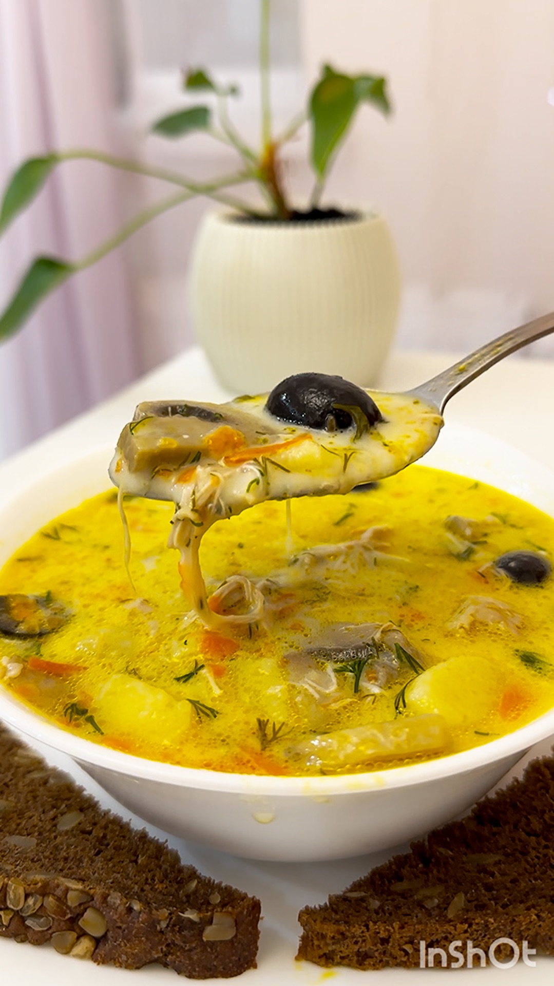 Грибной суп с маслинами