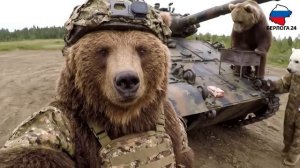 новости Берлога 24