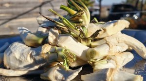 💥РЕЦЕПТ 💥 Острая закуска из корня хрена.