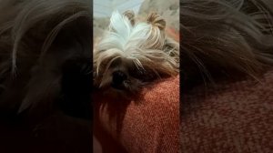 Мирный сон 😴