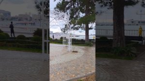 После дождя в Геленджике прямо сейчас прекрасно 😍👍  Магнолии уже раскрываются 👌