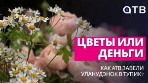 Цветы или деньги: как АТВ завели уланудэнок в тупик?