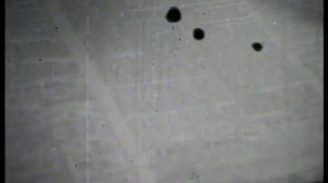 Документальный фильм «Возрожденный народ»