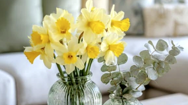 Вы задумали новое дело! Будет ли оно плодотворным?🤔