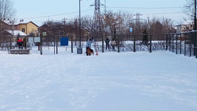 3.  выражено/перв LARA KROFT V. HAUS KSENI (Targus v. Frosten – Gilvorra v. Haus Kseni)