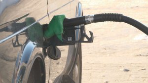 ДОРОГОЕ УДОВОЛЬСТВИЕ