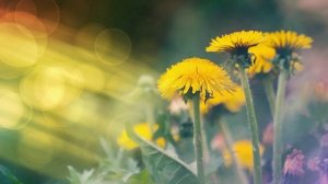 А помнишь ту весну