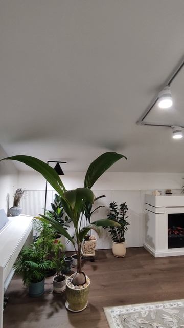 Недвижимость в Казани