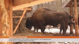 Мордовскому государственному заповеднику имени П.Г. Смидовича 90 лет!