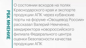Состояние всходов на полях Кубани и показатели экспорта продукции АПК || РБК Мнение