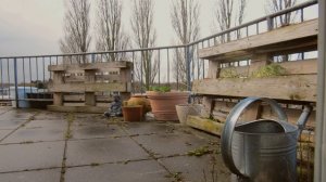 Пробуждение города: Пение птиц на рассвете с террасы на крыше.