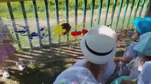 Краски лета 2023г