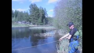 Золотишко то в пруду магнитом на 600кг у жадины купца