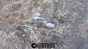 FPV группировки ЦЕНТР уничтожает врага