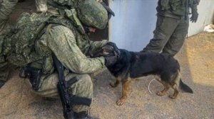 песня от офицеров ВКС