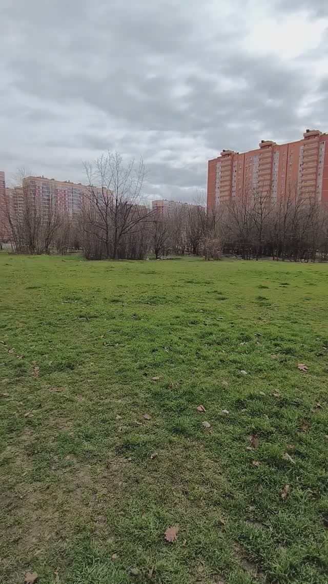 +15 градусов! весенняя погода приходит на Кубань!