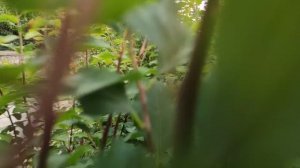 Один из дней города Евпатории | 4 июня 2021 год | Крым | ХАН БАТОН | XAH 6ATOH | VID_20210604_140944