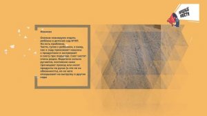 НАРОДНЫЕ НОВОСТИ: Разрушенные планы. Миграция контейнеров. Задачка для пешеходов