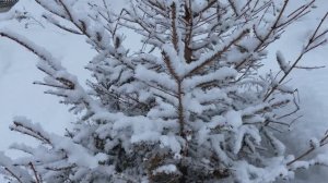 Погода в марте 2026