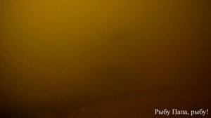 Рыбалка. Подводная сьемка на Первомайке