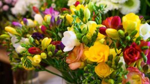 Флорист дала советы по уходу за цветами в вазе